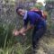 Tebogo Donald N.