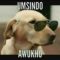Mncedisi M.